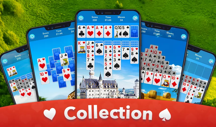 Collection